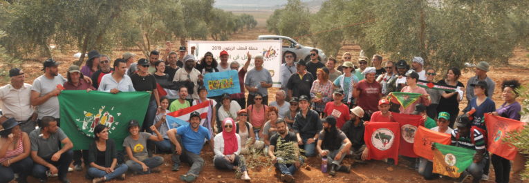 La Via Campesina et ses alliés renforcent la solidarité avec les paysan·ne·s palestinien·ne·s en Cisjordanie