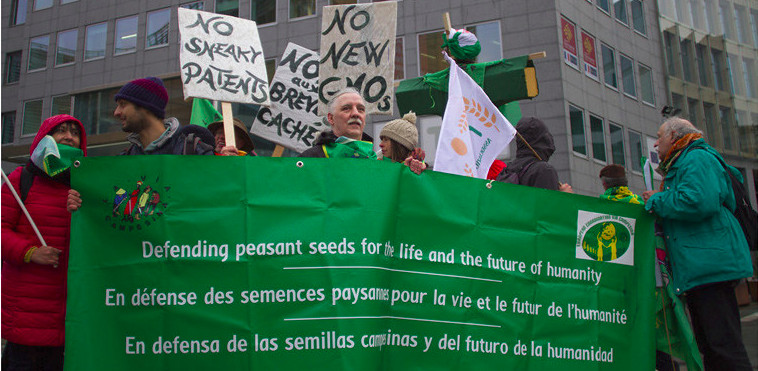 Evénement : Nouveaux OGM, brevets et droits des paysan.ne.s aux semences en Europe