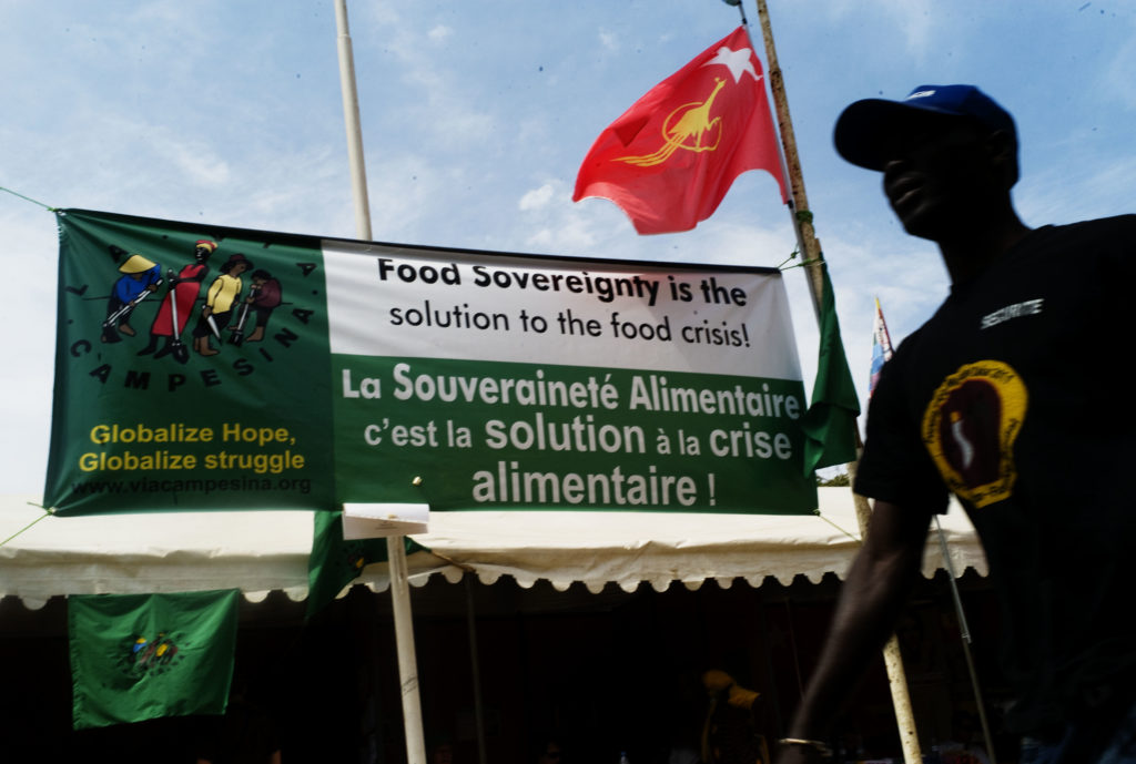 “La souveraineté alimentaire est la lumière qui nous montre la fin du tunnel” insiste La Via Campesina  au moment de célébrer le #16Octobre dans une année marquée par une pandémie mondiale