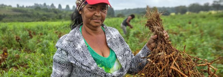 47ème Plenière du CSA : “Avec la COVID19, l’agroécologie paysanne est plus que jamais une nécessité”