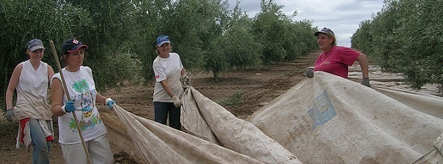 Espagne : Les paysannes ont plus de difficultés à accéder aux aides agricoles