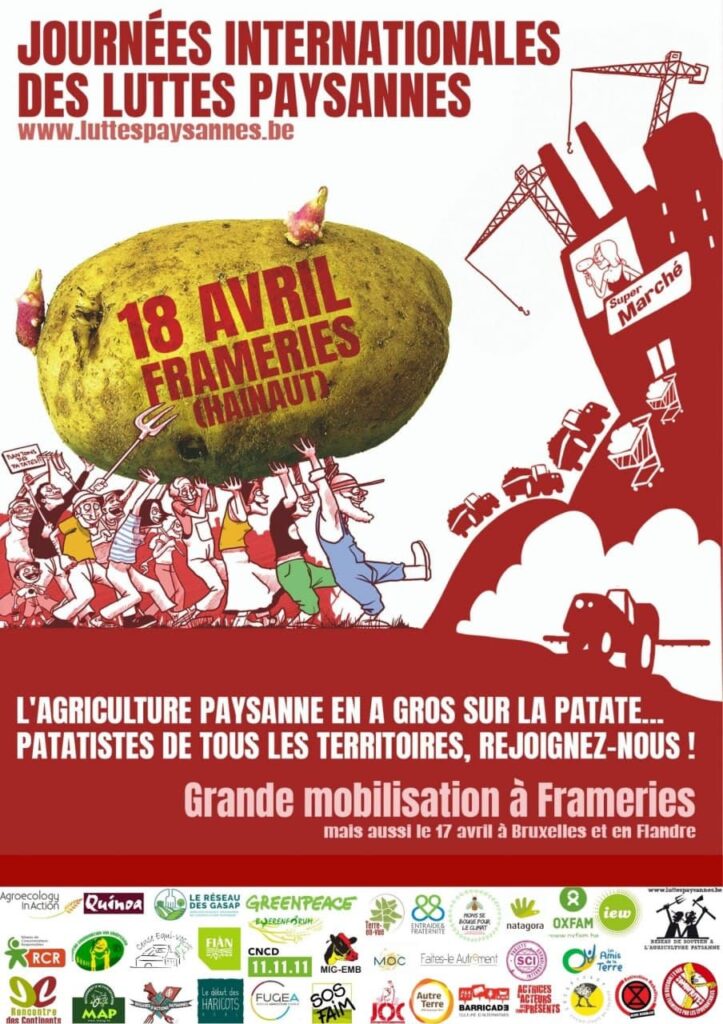 Belgique : l’agriculture paysanne en a gros sur la patate