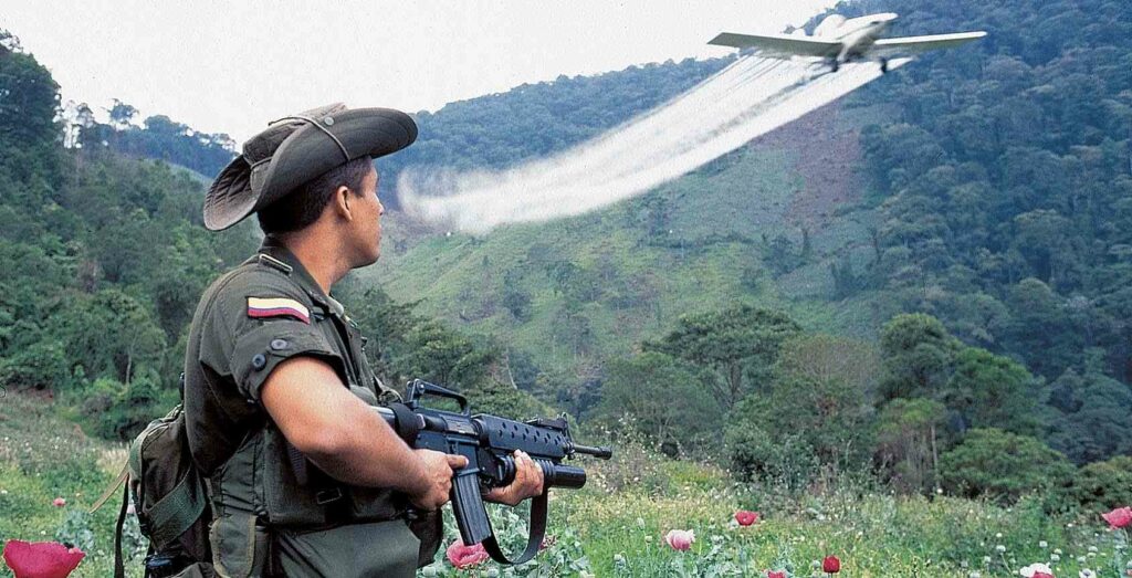 Colombie : Cultures à usage illicite, reprise de l’aspersion aérienne de glyphosate