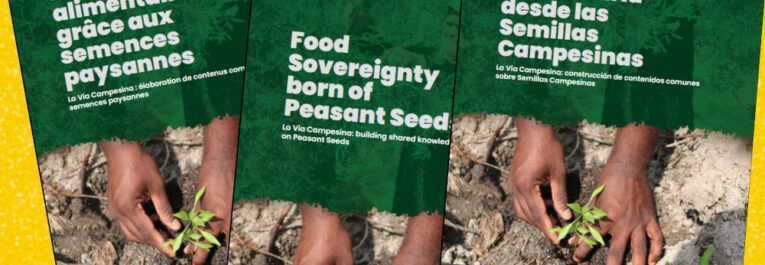 La Via Campesina : élaboration de contenus communs sur les semences paysannes