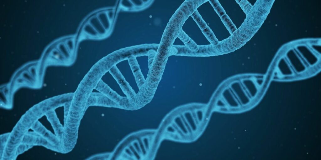 Suisse : “Les nouvelles techniques de génie génétique doivent être réglementées” déclare Uniterre