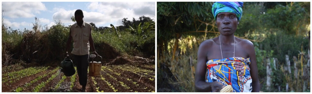 Afrique : L’agroécologie paysanne est la réponse aux crises climatiques