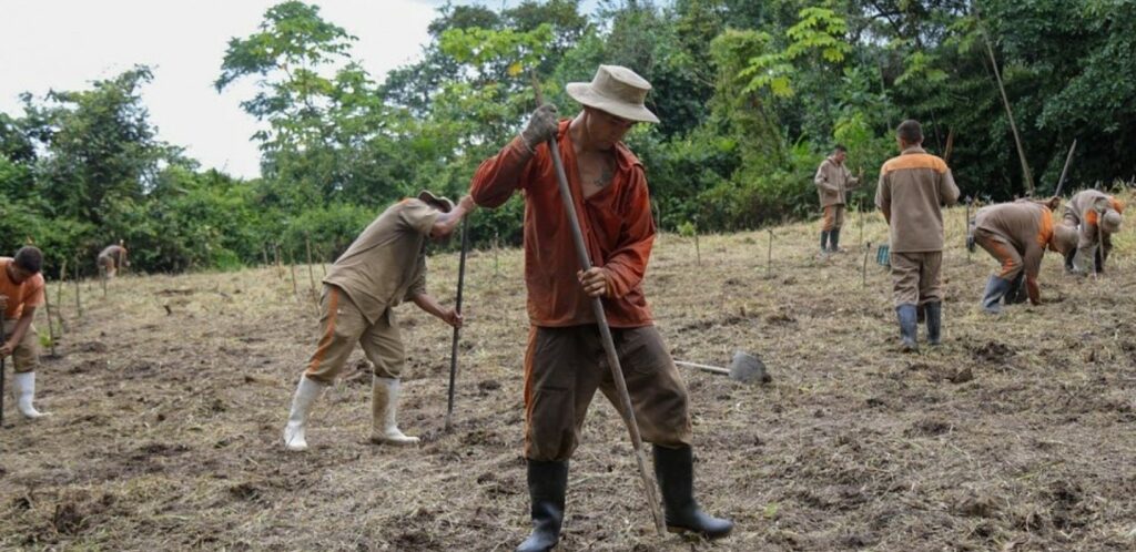 Colombie : Les premiers élans de la réforme agraire