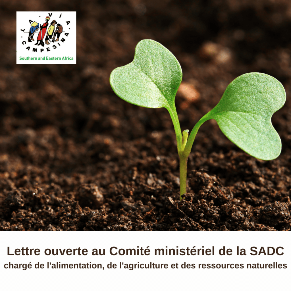 Lettre ouverte au Comité ministériel de la SADC chargé de l’alimentation, de l’agriculture et des ressources naturelles