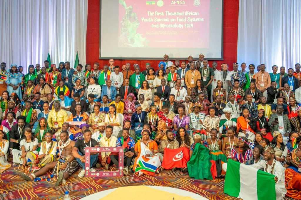 Des jeunes africain·es participent à des sessions de formation en Afrique du Sud, en Éthiopie et à Maurice